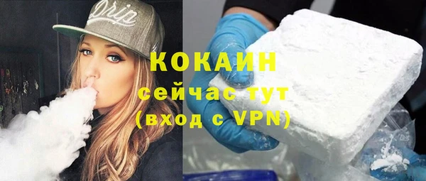 шишки Иннополис