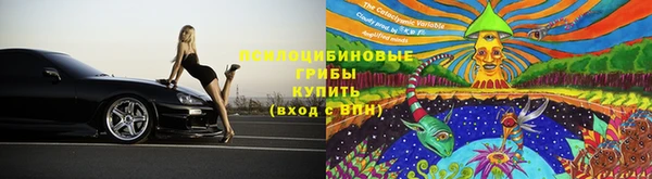 шишки Иннополис