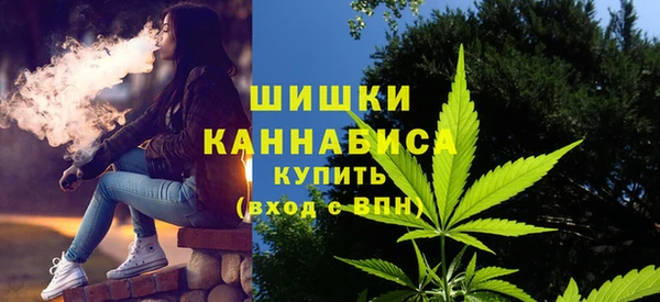 спиды Каменногорск