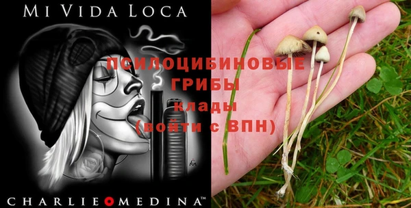 MDMA Инта