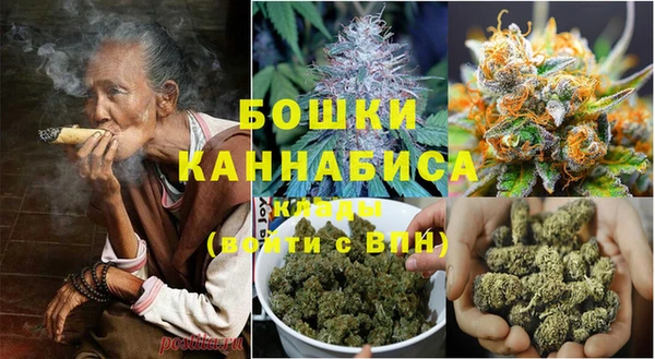 шишки Иннополис
