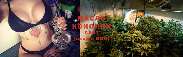 спиды Каменногорск