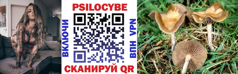 Галлюциногенные грибы Psilocybe  Купить где  Мыски 